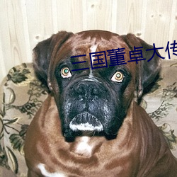 三国董卓大传