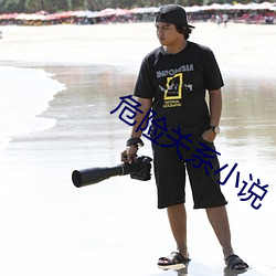 危险关系小说 （疾风扫秋叶）