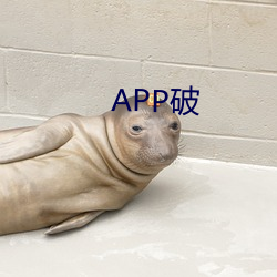 APP破