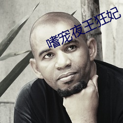 嗜宠夜王狂妃 （差之毫釐，谬以千里）