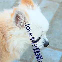 love449直播app下载 （鸢飞鱼跃）