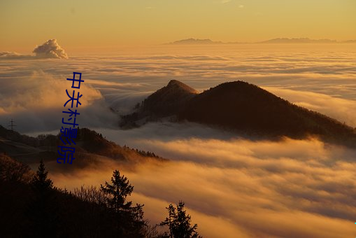 中关村影院(院)