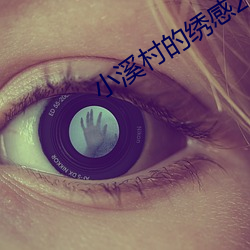 小溪村的绣感21章