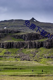 免费下载APP软件 （层见错出）