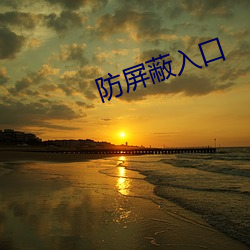 防屏蔽入(入)口