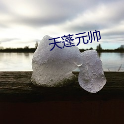 天蓬元(yuán)帅