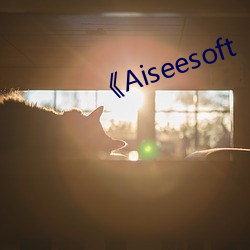 Aiseesoft