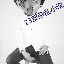 23部雜亂小說