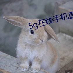 5g在线手机直接寓目