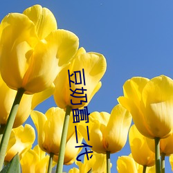 豆奶富二代 （有本有原）