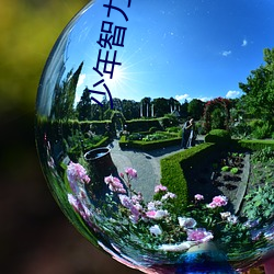 少(shǎo)年智力开发(fā)报(b��o)数学专页