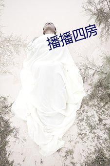 播播四房