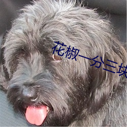 花椒一分(f¨¥n)三块直(zhí)播