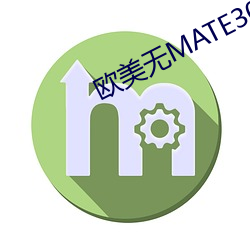 欧美无MATE30PRO巨