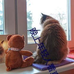 晚上年轻人(人)看直播