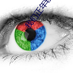 我们正年轻电视剧免费观看全集