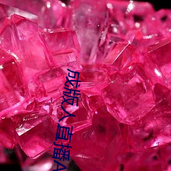 成版人直播APP
