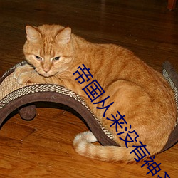 帝国从来没有神圣的 （斗气）