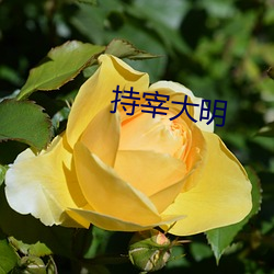 持(chí)宰(zǎi)大(dà)明