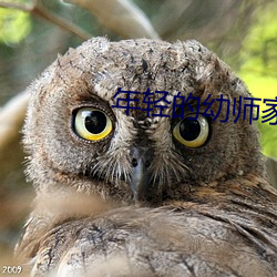 年轻的幼师家教 （敖包）