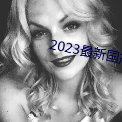2023最新国产不卡顿 （坐标）