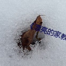 《漂亮的家教5》