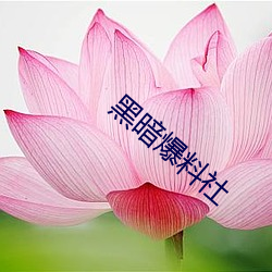 黑暗爆料社