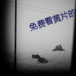 免(miǎn)费看黄片(piàn)的App大全