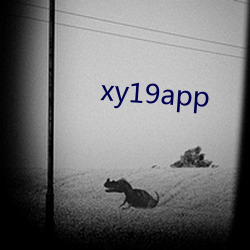 xy19app