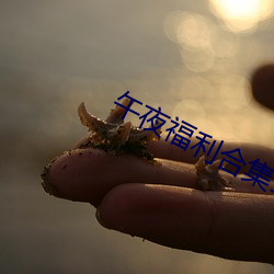 午夜福利合集1000在線