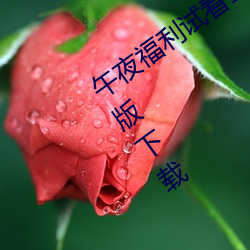 午夜(夜)福利(利)试看(看)120秒体验区(區)app中文福(福)利版下(下)载(載)