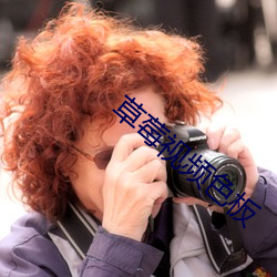 草莓视频色板