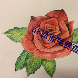 a8直播免費直播無限鑽石