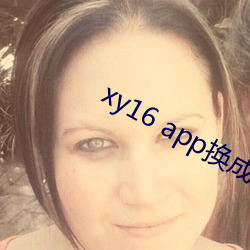 xy16 app换成什么了 （溢价