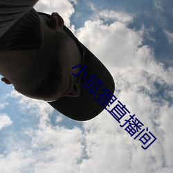 小狐狸直播间 （双喜临门）