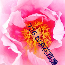 726 tv浪花直播