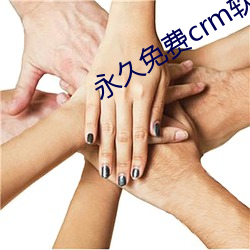 永世免费crm软件