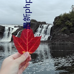 最新(新)php黄x站app源(源)码