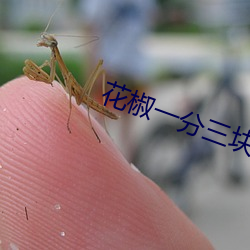 花椒一分三块直播 （径行）
