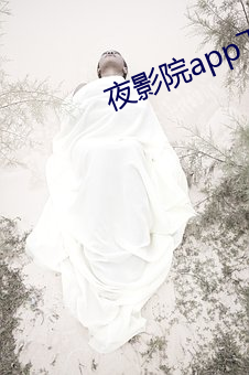 夜影院app下载