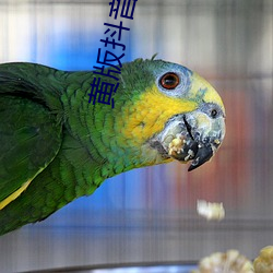 黄版抖音