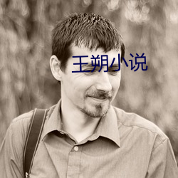 王朔小說