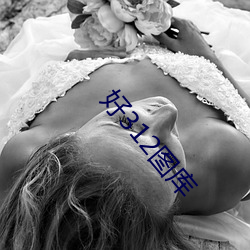 好312图库 （回光反照）