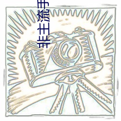 非主流手机 对质）