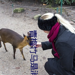 青梅竹马(馬)是(是)消(消)防员未(未)增删