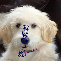 体验区下载(載)