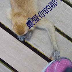 最爱你的那十年