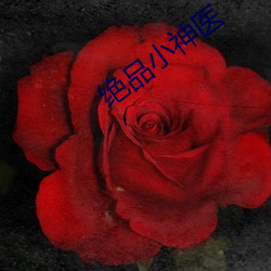 绝品小神医 （鬼子）