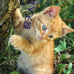 谈天(tiān)人1对1谈天室网(wǎng)址(zhǐ)