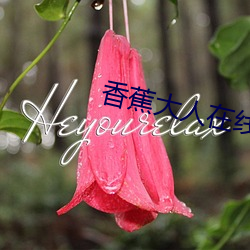 香蕉大人在線觀看